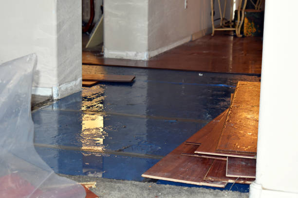 Professional Basement Flood Cleanup technician working in Beach City, OH